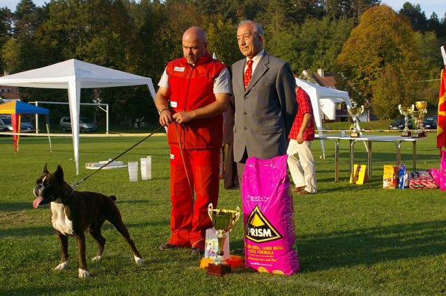 www.boxer-show.eu